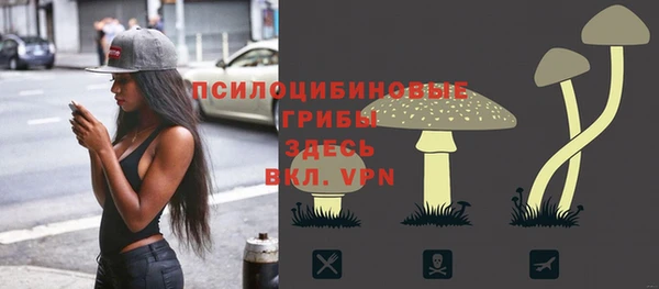 меф Новодвинск